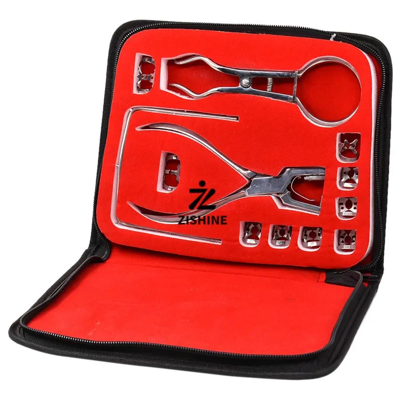 Dental Rubber Dam Punch Kit - Stainless Steel Perforator Pliers Set for Orthodontic & Endodontic Clinic Isolation Tools