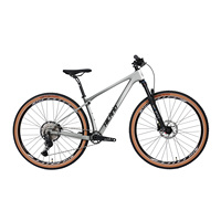 inch full suspension mountain carbon mountain bike/29 frame mountain bicycke /29'' mtb bike bicicleta