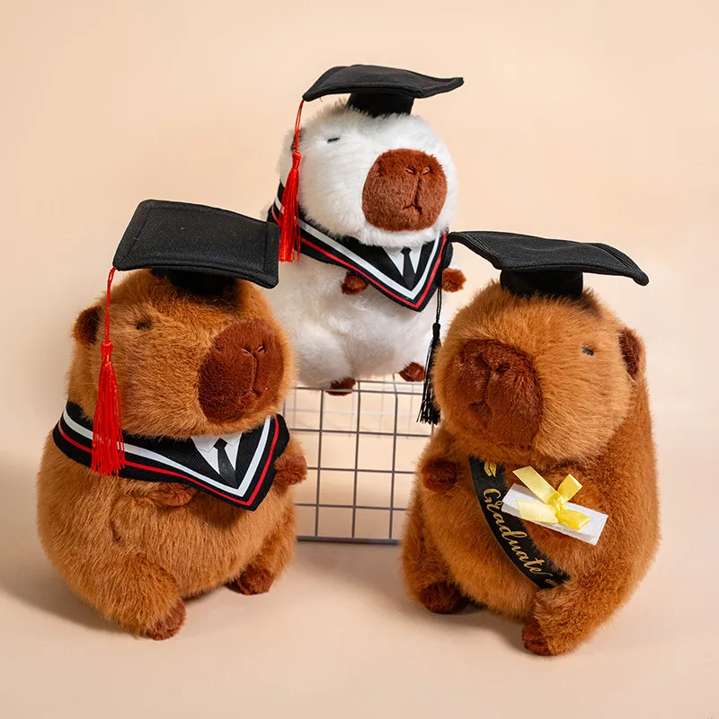 25 cm süßes Abschluss-Capybara-Plüschtier, Arzt-Mütze, Bär, Elefant, West Highland-Tier, gefüllte Puppe, Abschlussgeschenk für Studenten
