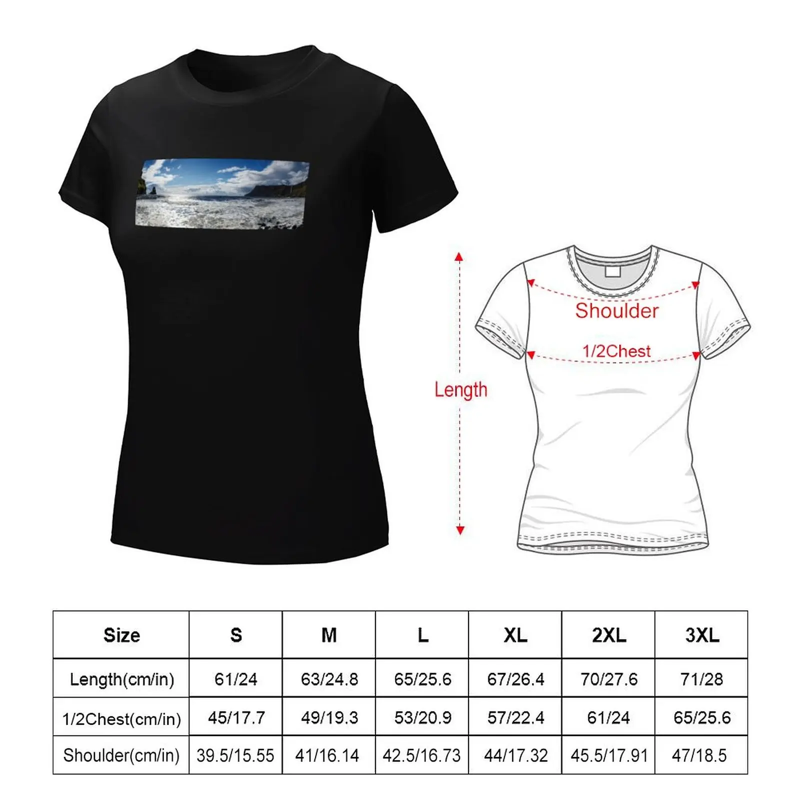 Panoramic view of Talisker Bay Isle of Skye T-Shirt customs summer tops sweat funny t shirts for Women