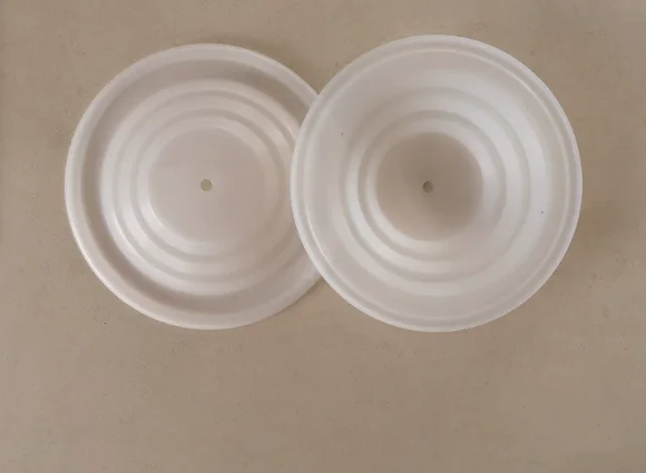 108839 PTFE Diaphragm Backup Diaphragm 183542 517 716 D53211 Series Pumps Membrane