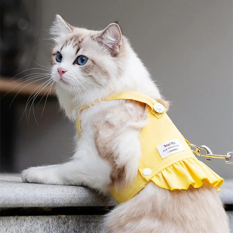 Conjunto de correa de arnés para perro pequeño, chaleco suave y transpirable para cachorro, correa de pecho para gato, Bulldog francés, suministros para perros