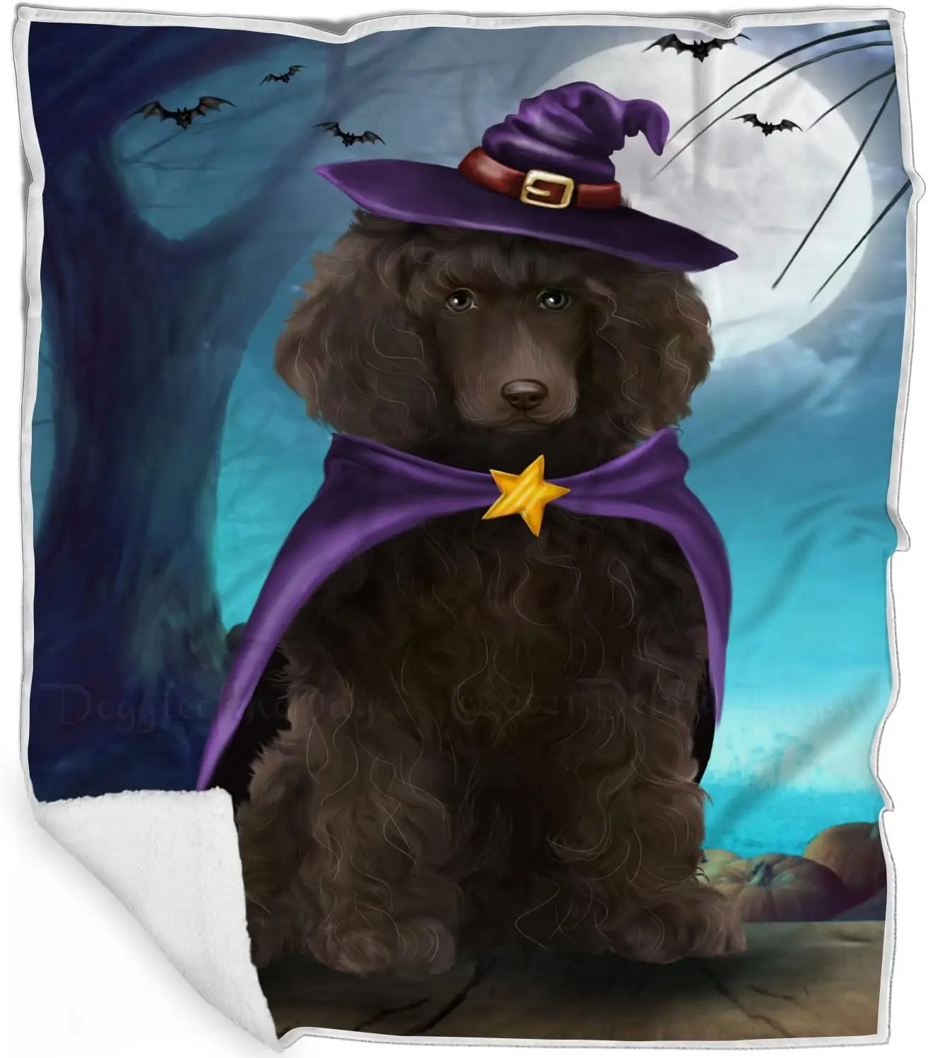 Halloween Trick or Teat Poodle Dogs Witch Hat Blanket - Lightweight Super Soft Cozy and Durable Bed Blanket - Animal