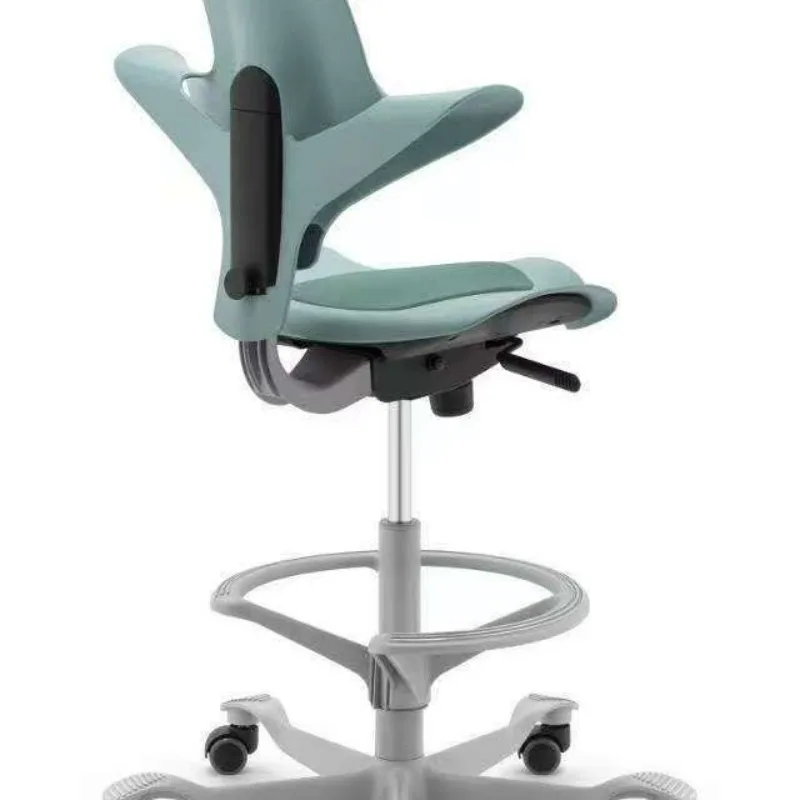 

Saddle Riding Computer Study Riding Computer Children's Study