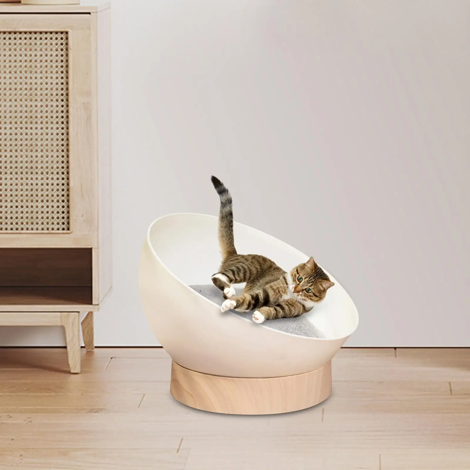 Der perfekte Bett Katze – Ein bequemer Schlafplatz für Ihre Katze