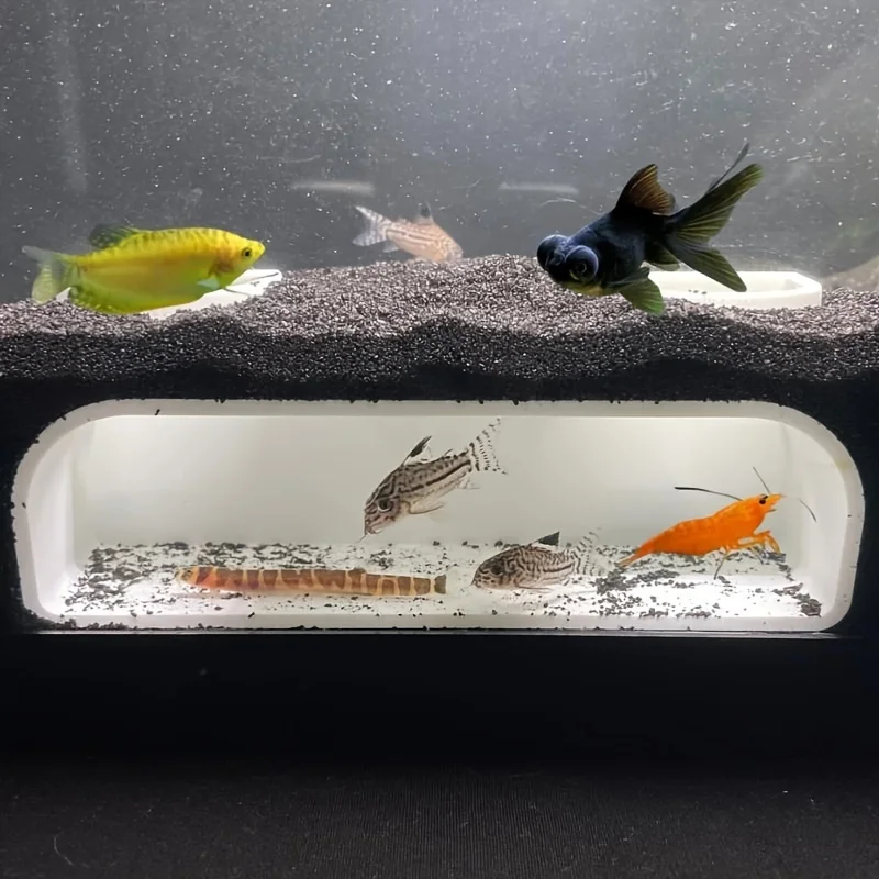 Aquarium Ground Floor Residents Underground Tunnel Aquarium/Games and Lounge Observation Window
