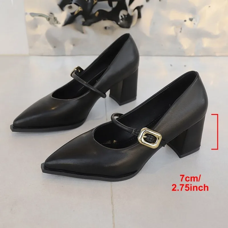 

All-Season Women's Chunky Heel Mary Jane Flats - Patent Leather Shallow Cut High Heels, Metal Buckle Decor Commuter Shoes 41 42