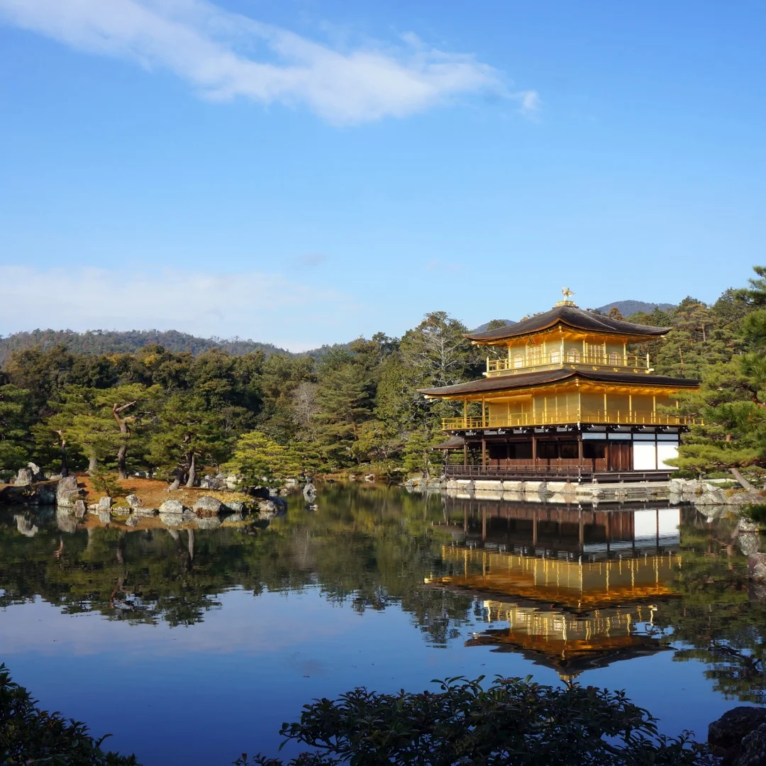 

14,4-дюймовый Android-экран для Jeep Grand Cherokee 2010-2021, мультимедийный плеер, радиоприемник, автомобильный GPS Navi, Bluetooth, стерео DSP