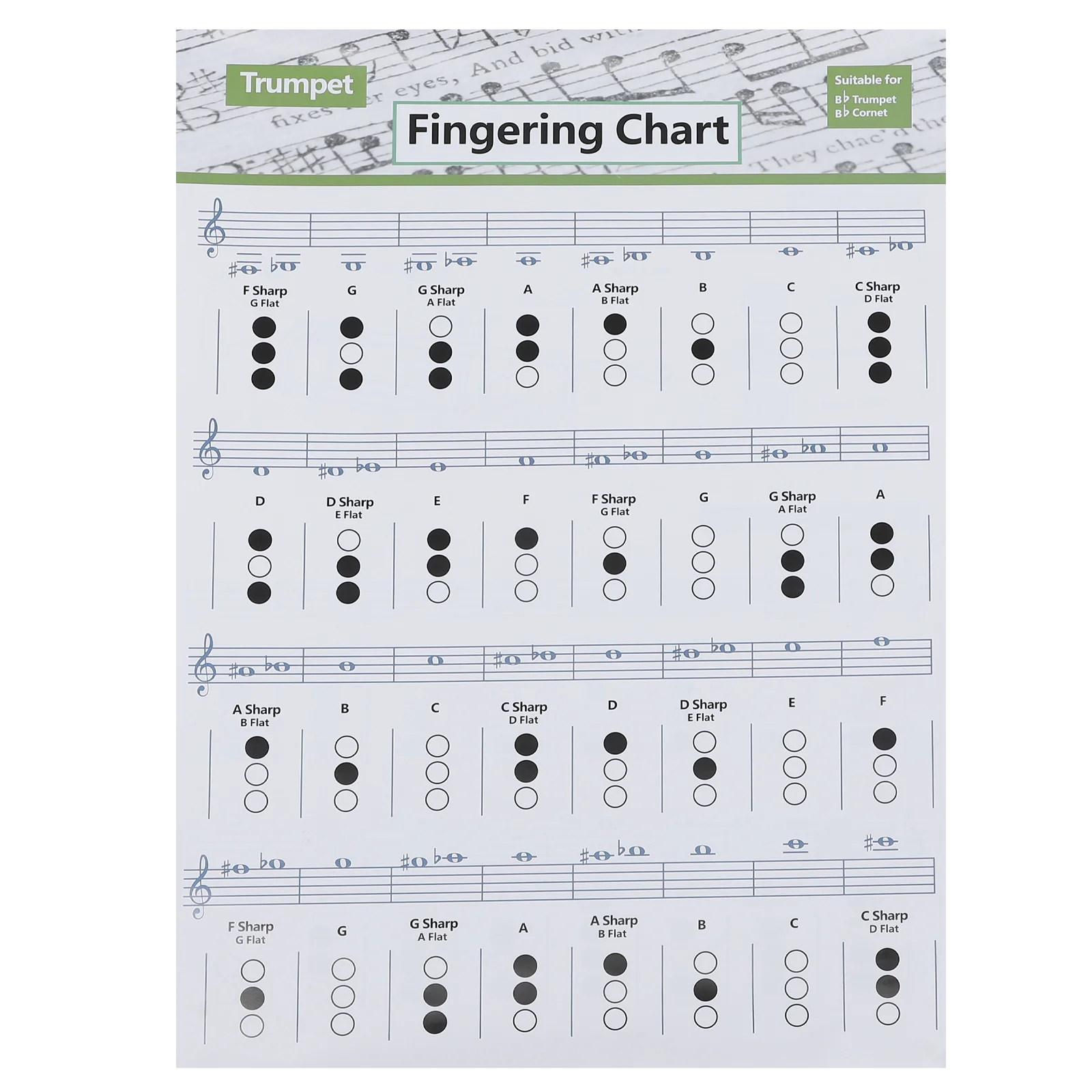 

Chord Chart Trumpet Learning Reference Note Guide Small Chords for Beginner White Student