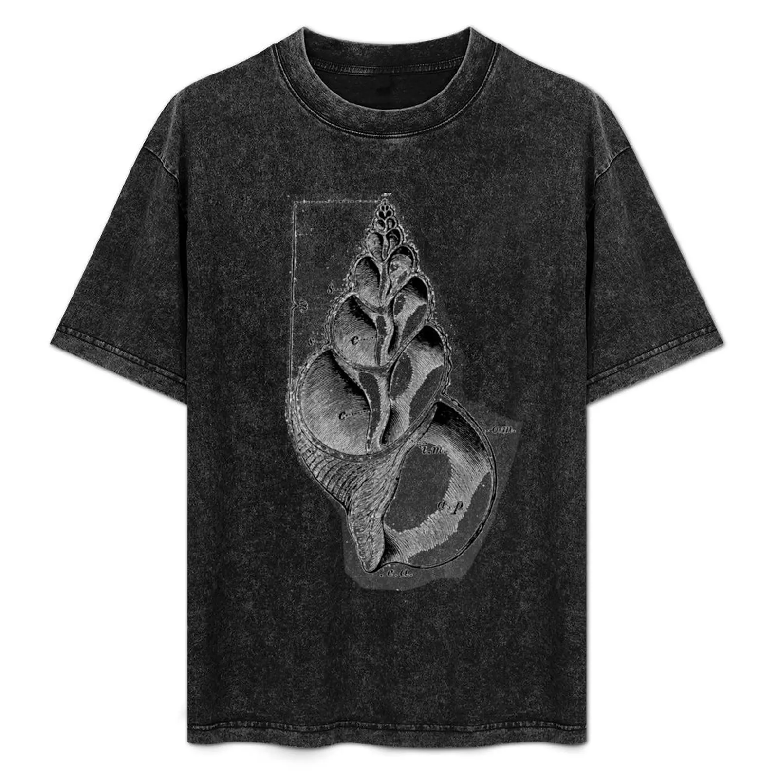 

Fibbonaci Shell T-Shirt Holiday Casual Short Sleeve Top