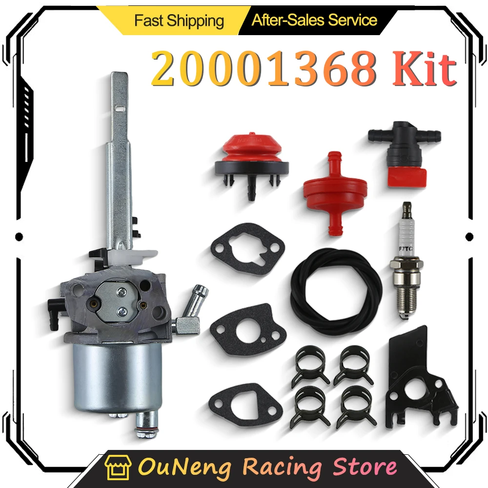 Carburateur pour souffleuse à neige Ariens, pièces de rechange, 436565, 20001368, 20001027, 20001086, Poulan Pro, 20001369, 585020402