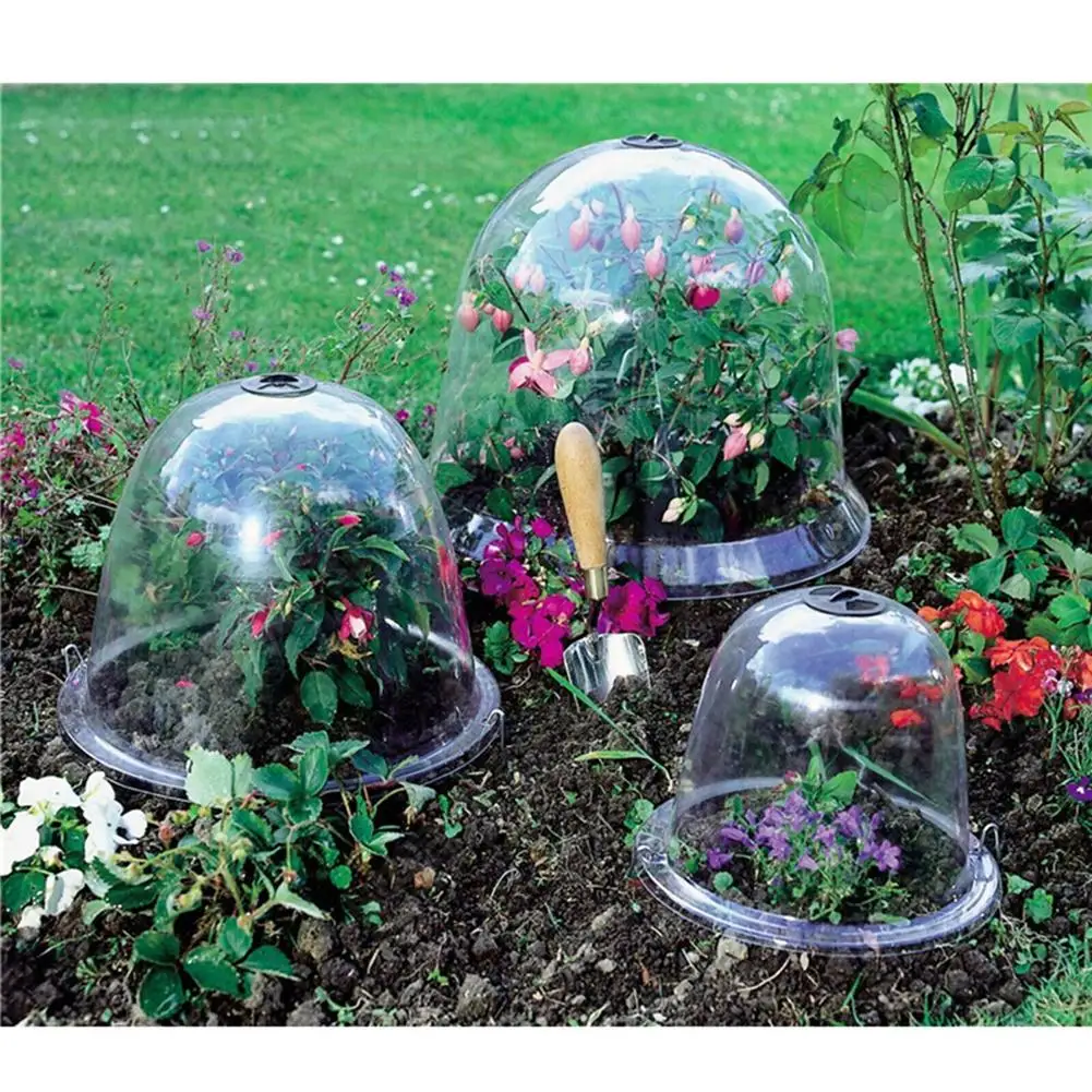 Plant Bell Cover Dome Anti-Freeze Transparante Protector Cover Mini Kas Outdoor Tuin Plant Beschermen Dropship