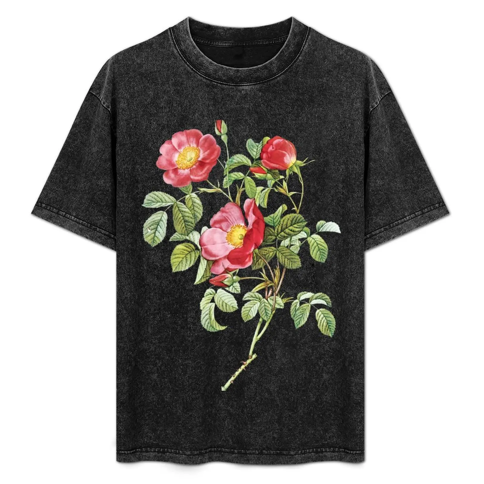 

Vintage - Flower - Camellia by Redoute T-Shirt Fitness Quick Dry Short Sleeve Top