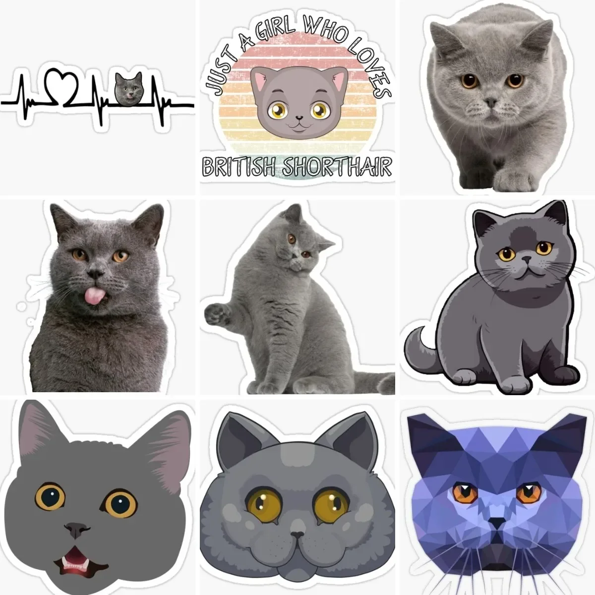 British Shorthair Blue Cat Sticker Window Truck Car Laptop Camper Wall Bicycle Glass Helmet Camper Decorative Accessories Decal