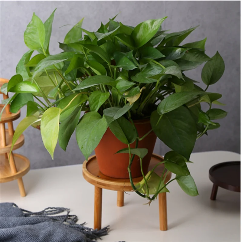 -A41U حامل نباتات خشبي للنباتات بوعاء خزان الأسماك وعاء النبات الداخلي عرض موقف 2 قطعة #3