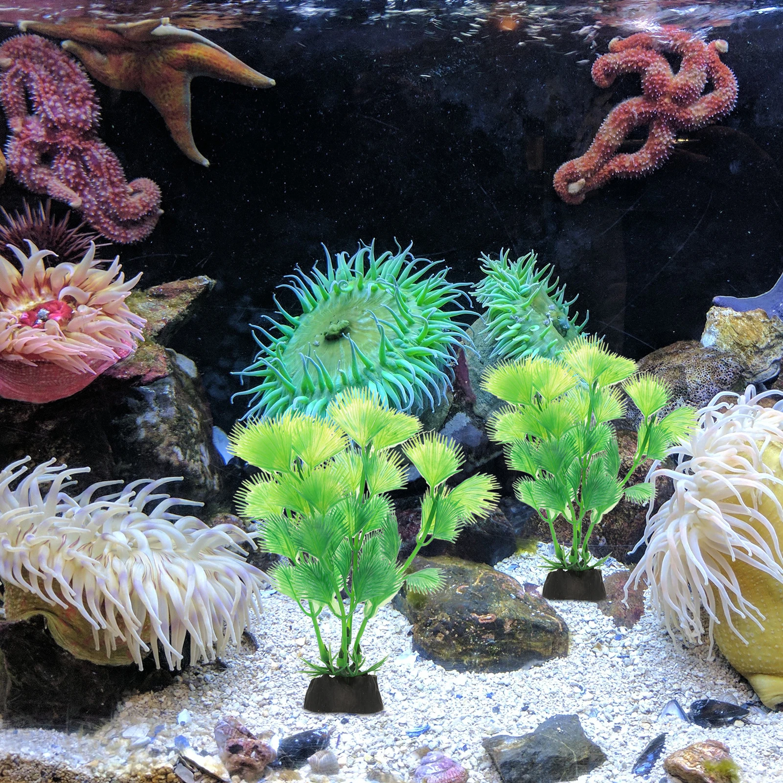 

10 Pcs Plant Aquatic Decoration Fish & Plastic Plants Aquarium Ornaments Artificial Tank