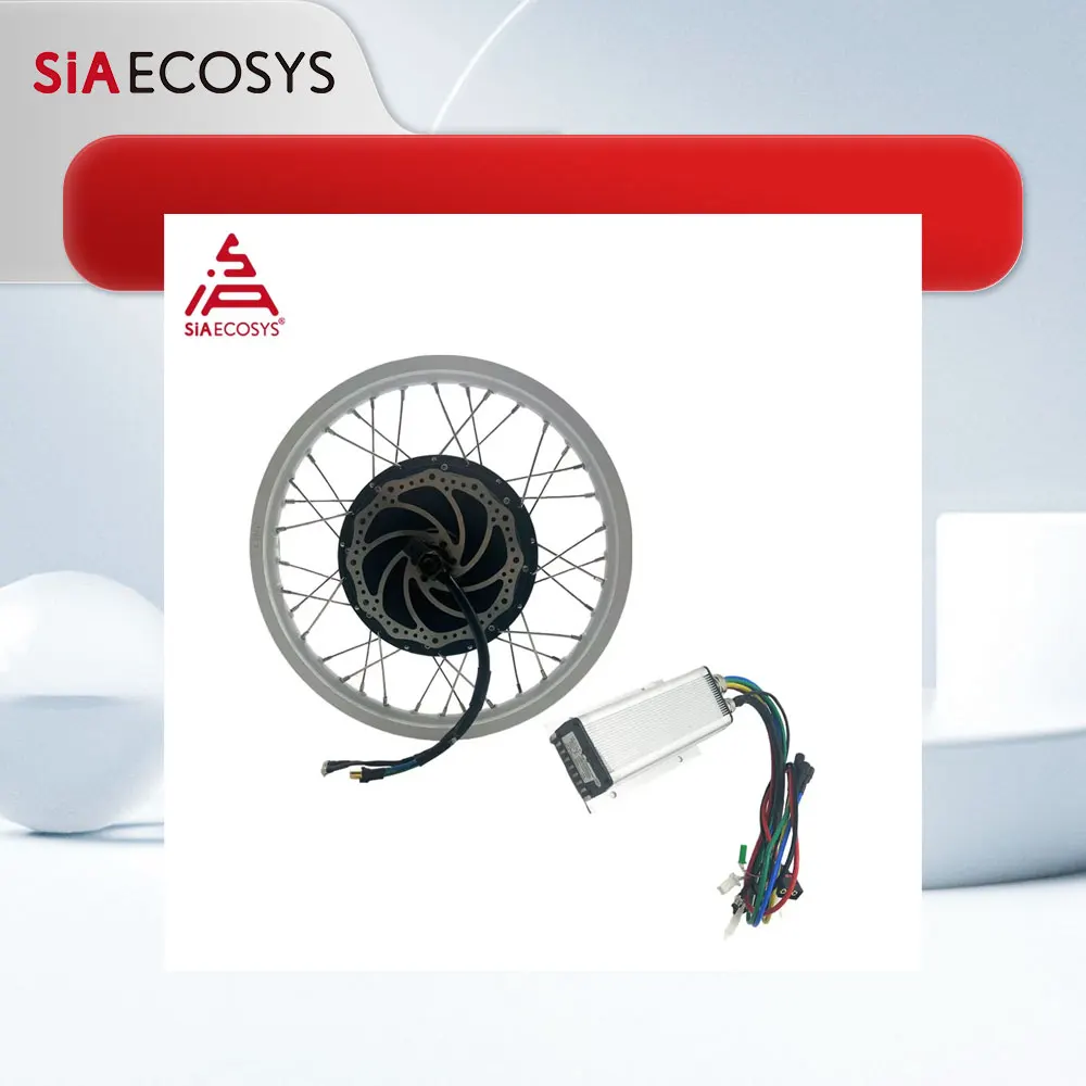 

Sales Clearance QS Motor Quick Disassembly 17*1.6inch 1500w QS205 V3 Hub Motor BLDC Motor Kit