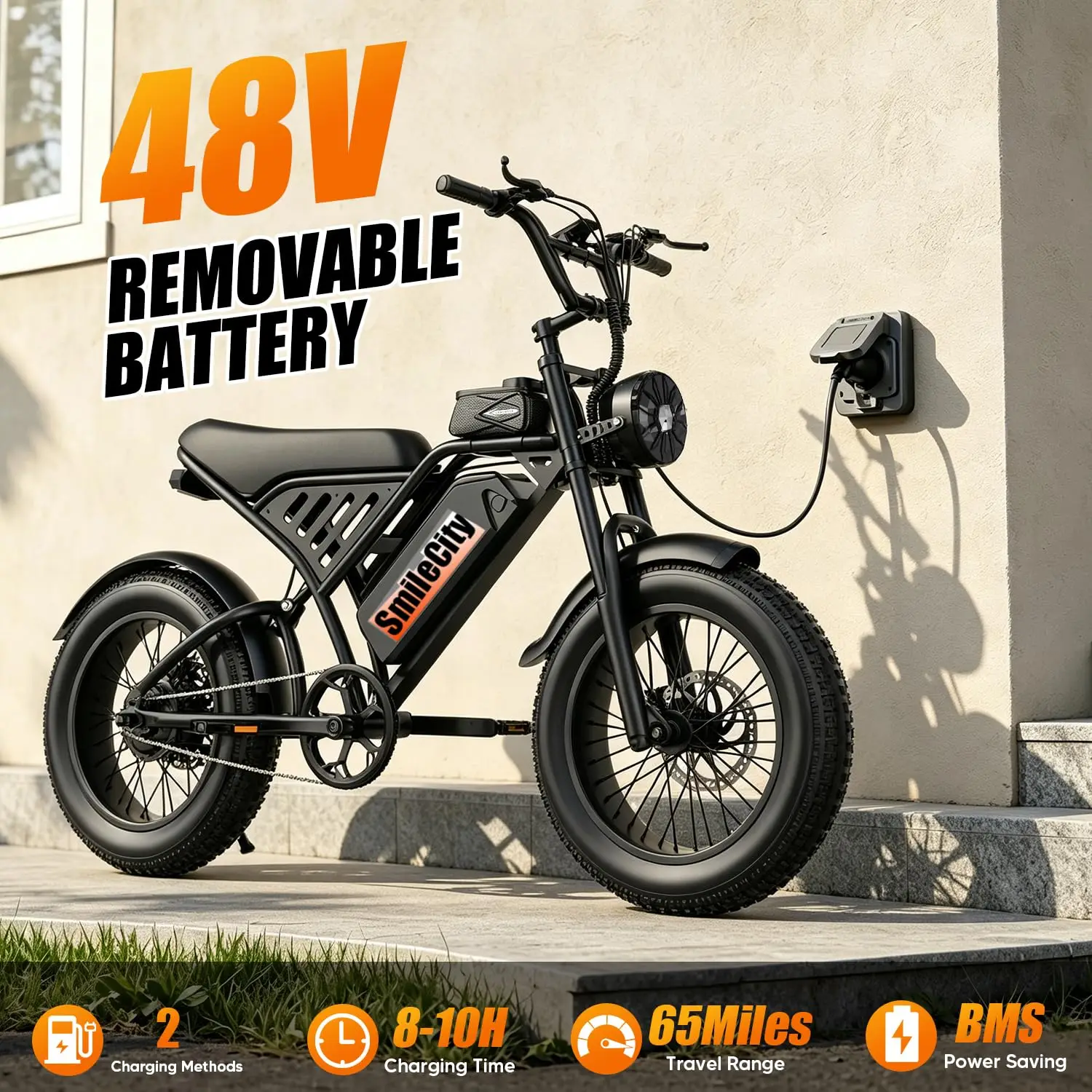 Electric Bike Adults 16