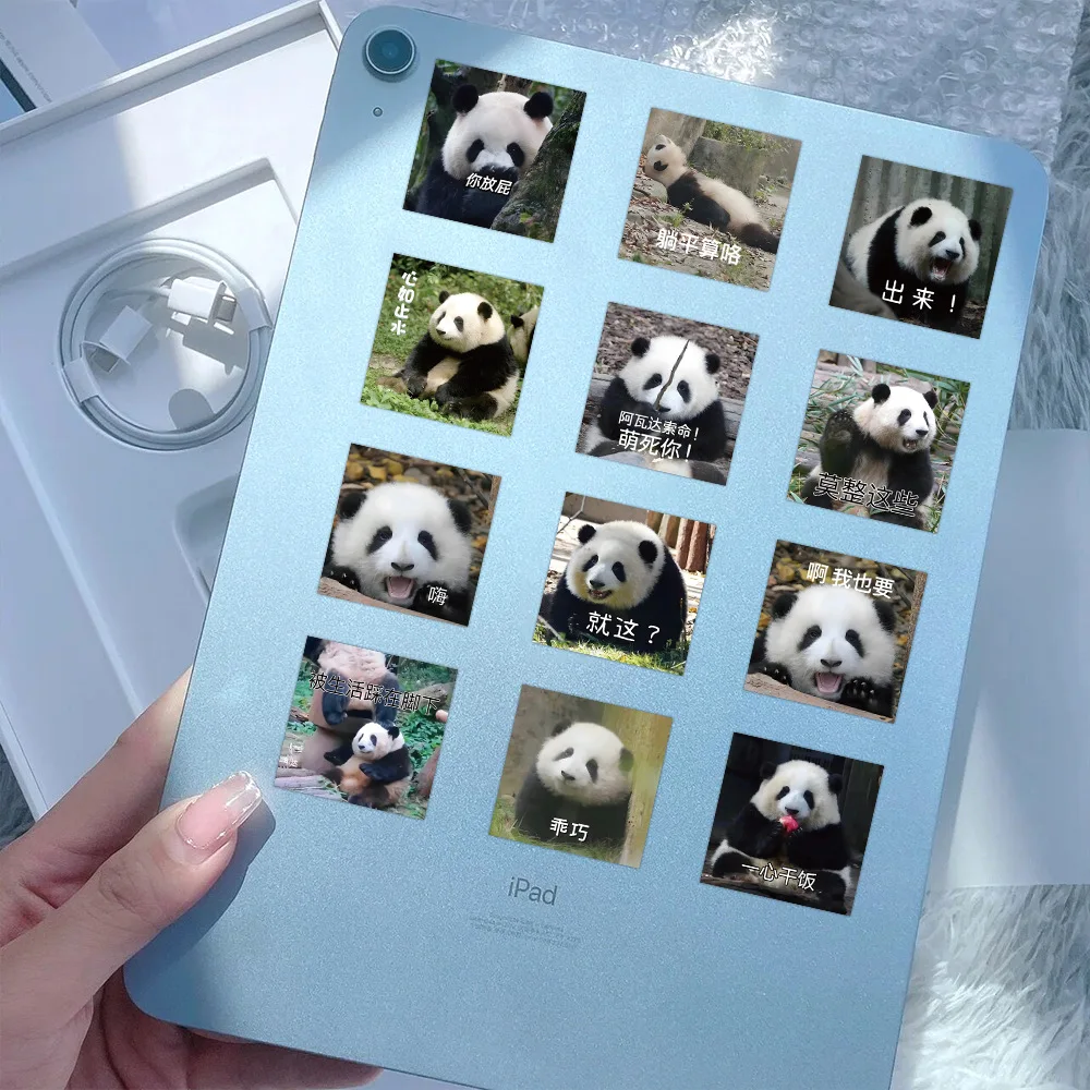 10/30/63PCS Panda Huahua Cartoon Cute Stickers Decal Decoration Suitcase Laptop Scrapbooking Phone Stationery Funny Kid Sticker