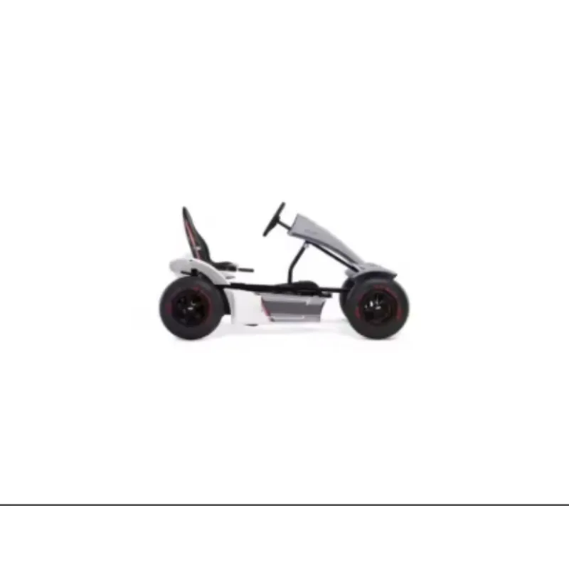 High Quality E-BFR Electric 4 Stroke Gas Professional Race Outdoor Kart New Go-Kart Accessories 750W 200kg Disc Brake 60km/h
