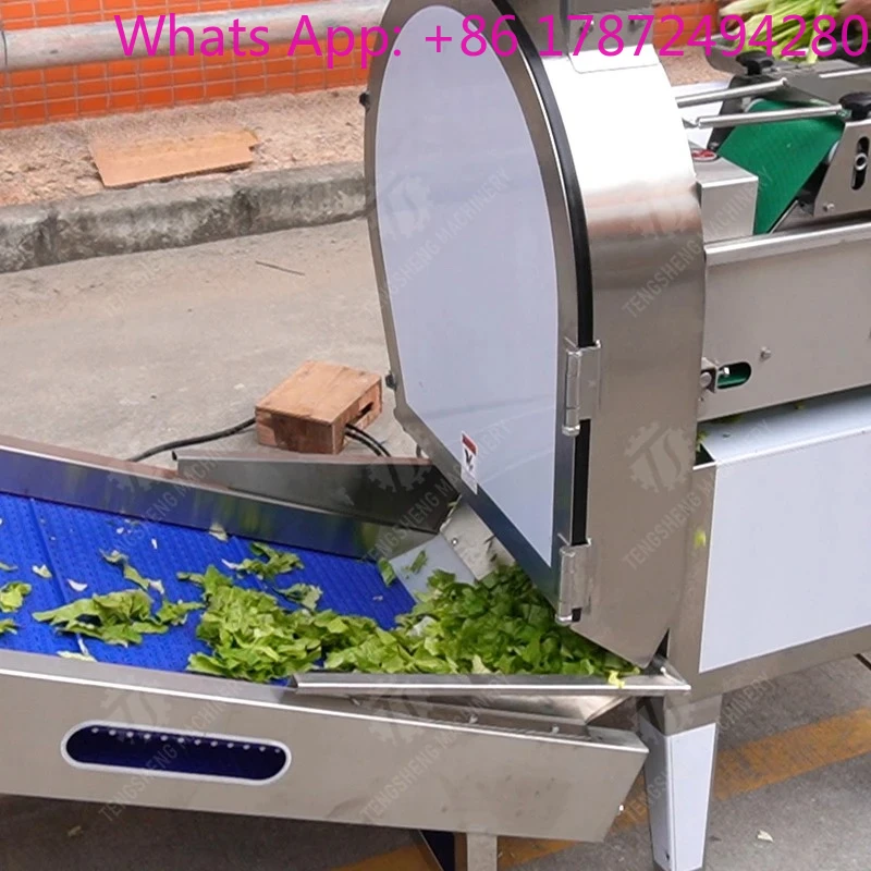 Fruit Elevator Machine For Wholesale Fresh  Banana Orange Grape Handling Durable Stainless Steel Construction