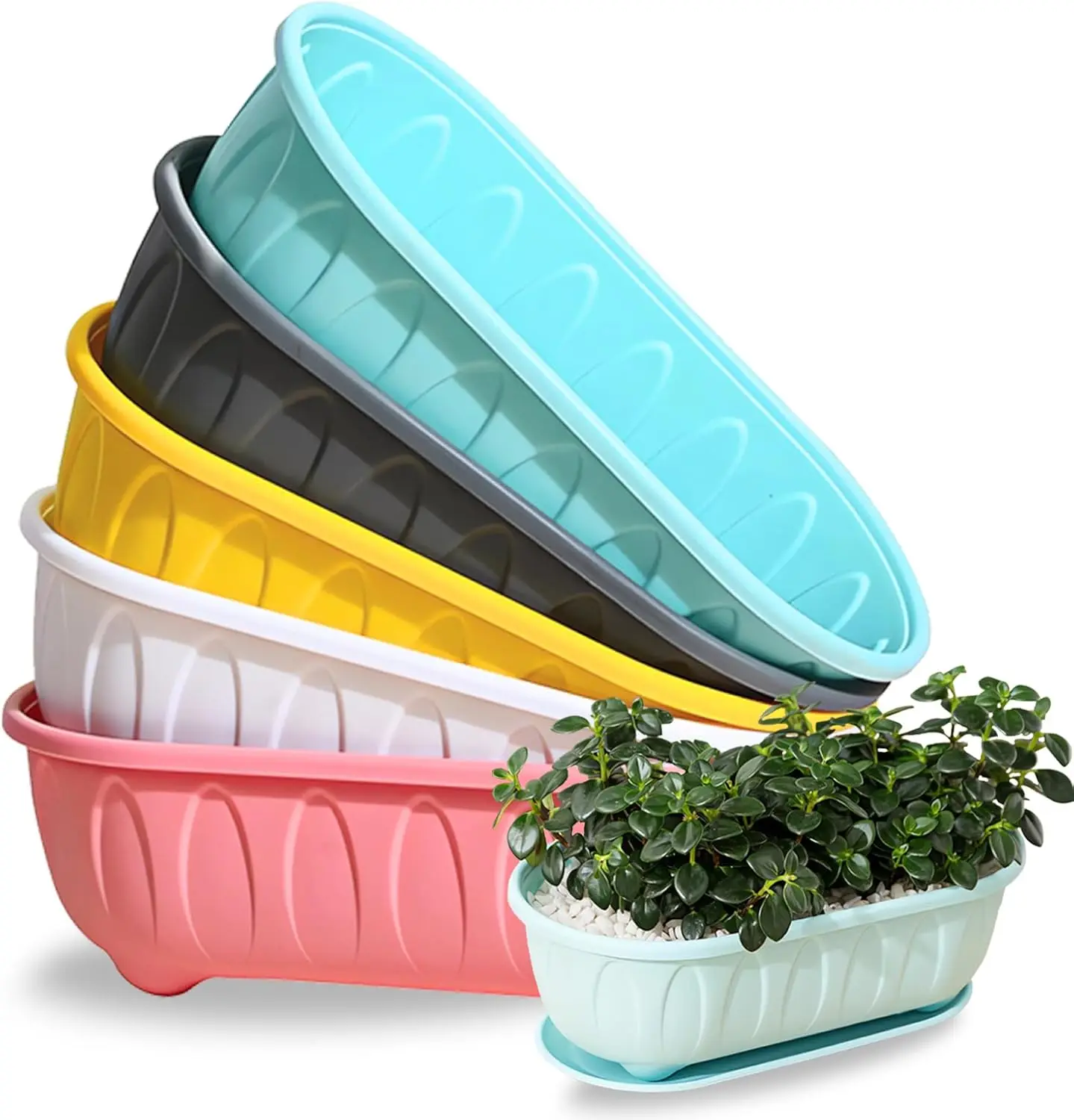 

5-Pack 12-Inch Cute Plastic Plant Pots with Saucers | Multi-Color Thickened Flower Pots with Drainage Holes for Succulen