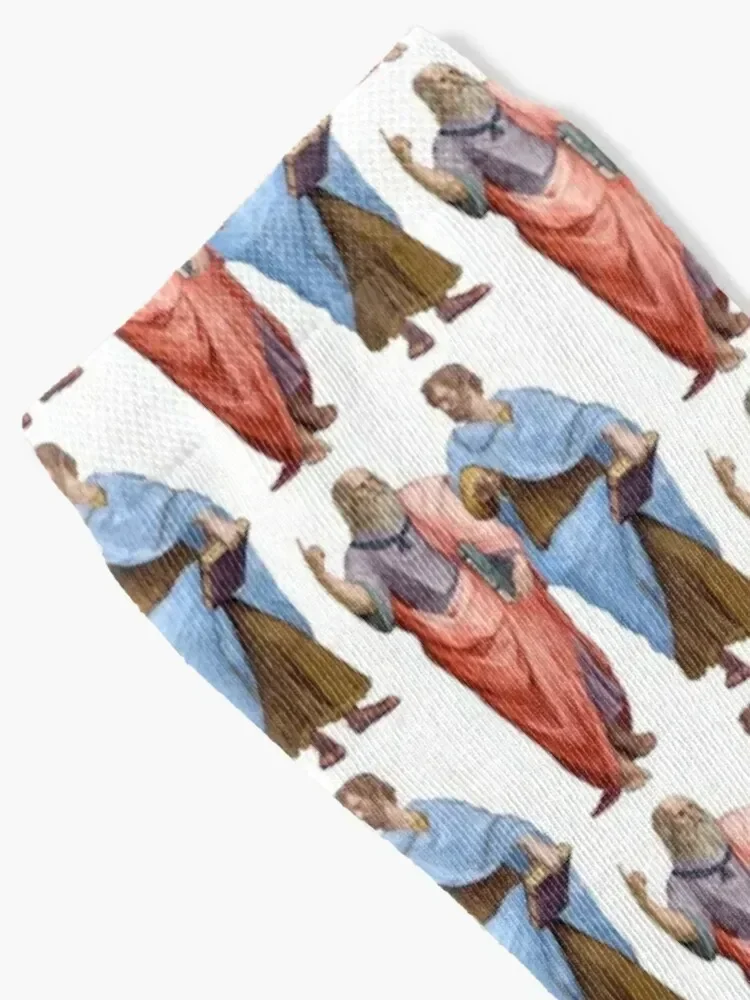 Plato and Aristotle Socks anime Stockings Rugby cool Socks Male Women's