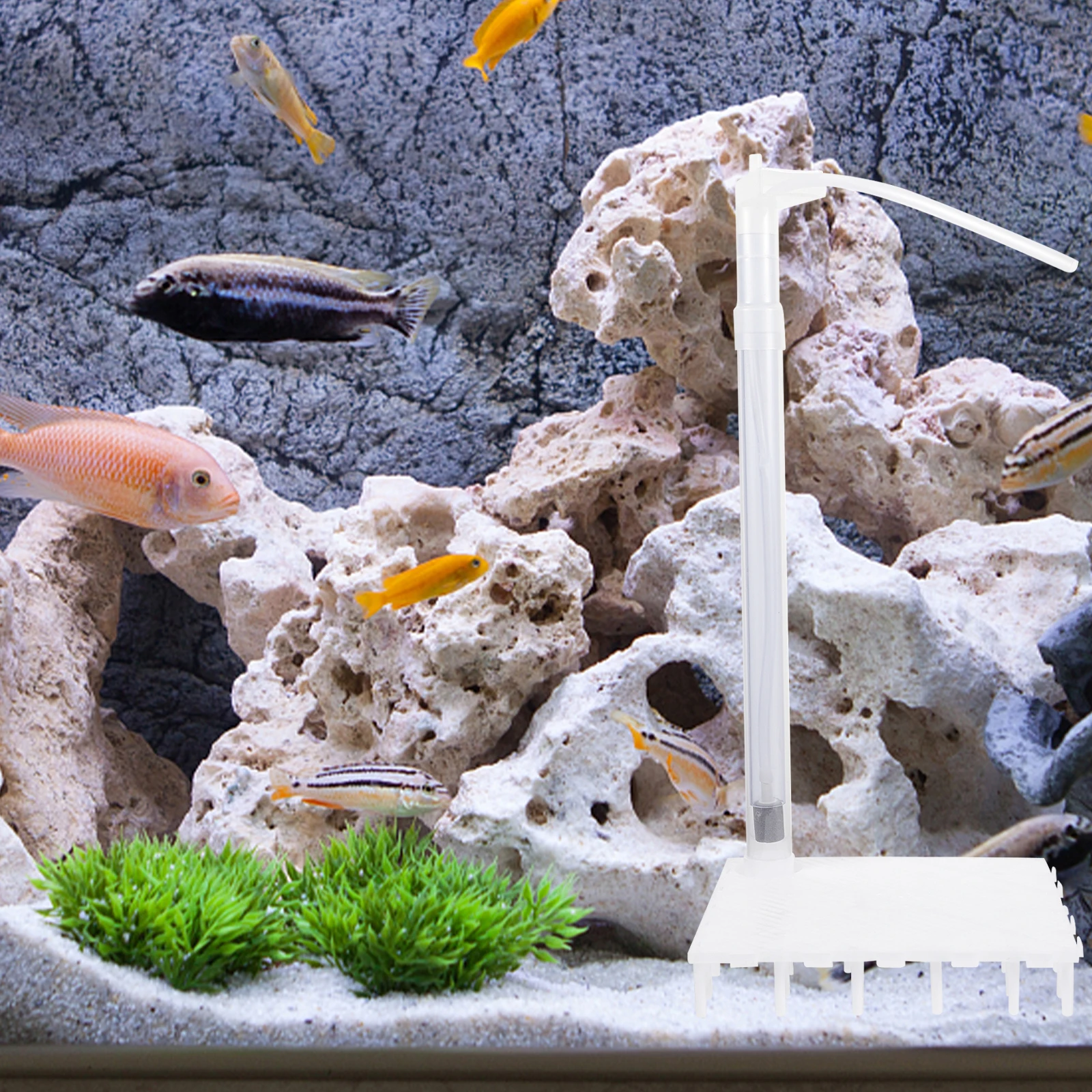 

5 White Plates 1 Tube Fish Tank Bottom Filter Aquarium Divider Grid Crate Boards Cut Off Undergravel Filter Tray Partition Net