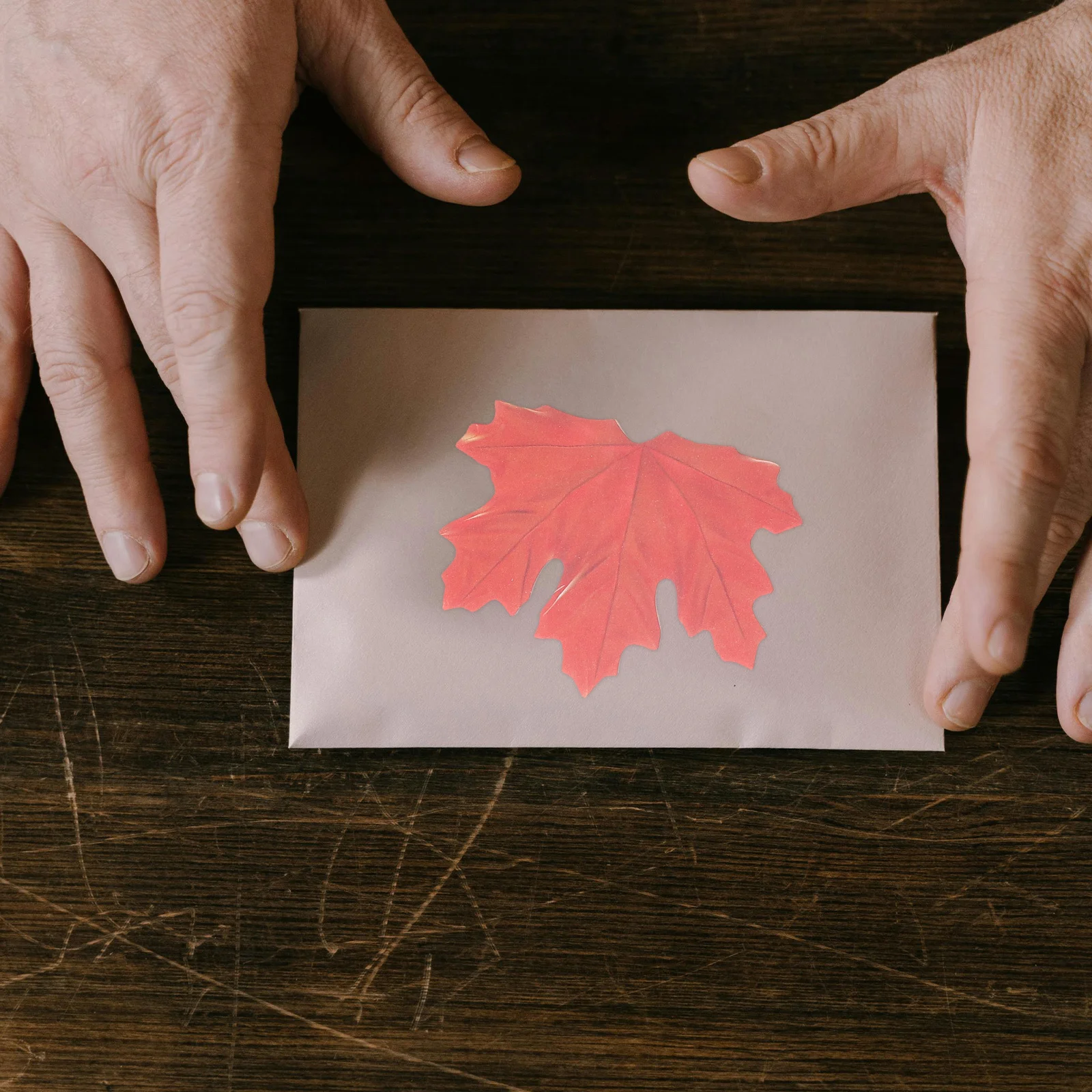 Bloc de notas con diseño de hojas, papel para recordatorios de oficina y hogar, pegatinas autoadhesivas, portátiles y compactas, 8 Uds.