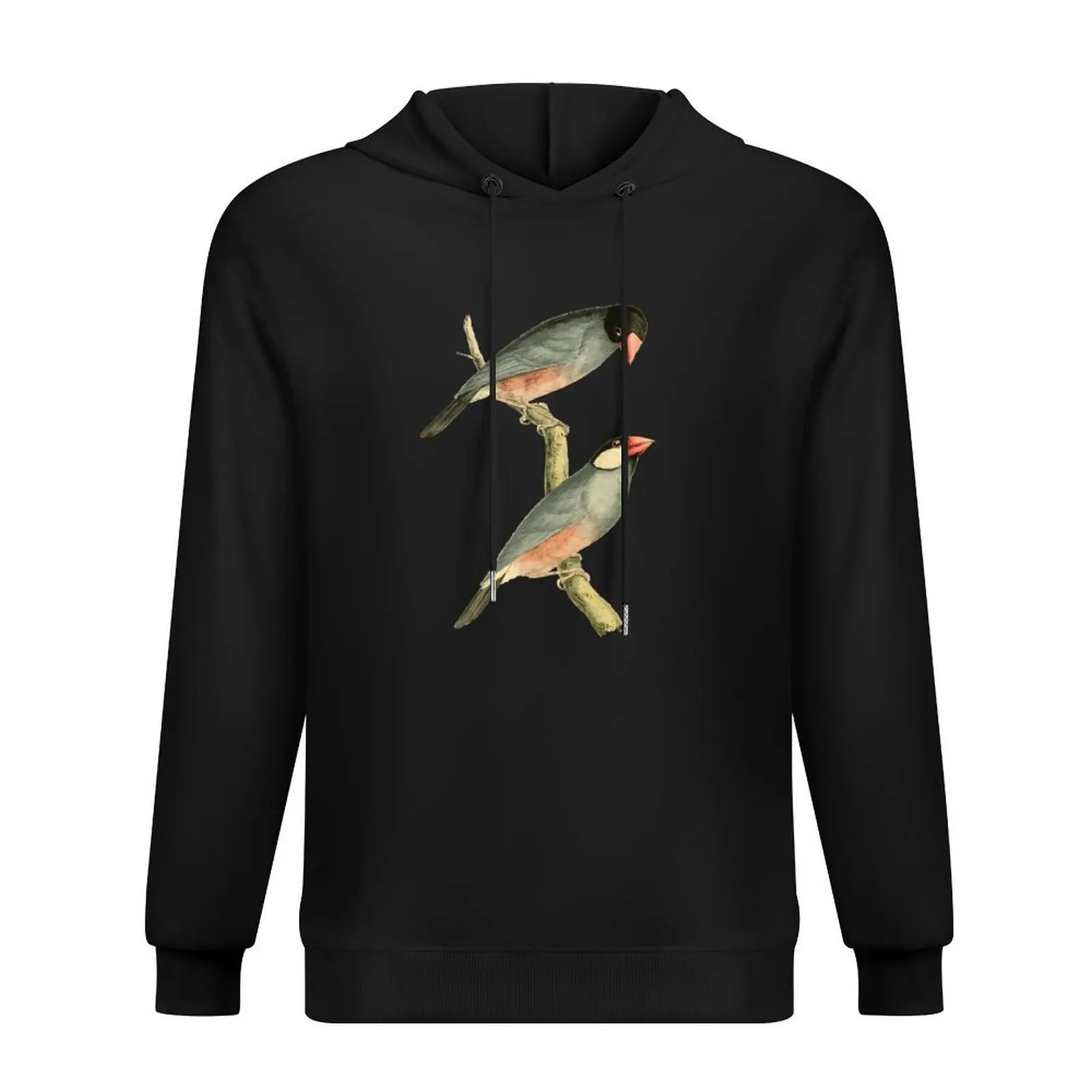 

Paddy bird, Rice bird, or Java Sparrow Bird Illustration by William Swainson Hoodie men clothing men clothes tracksuits