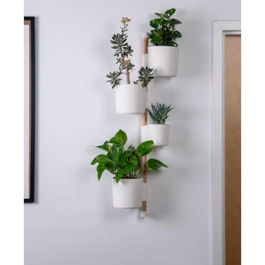 

Настенный вертикальный держатель для растений Lofted Goods, белые кашпо с деревянными дюбелями, 36 дюймов, для подвесного сада в помещении