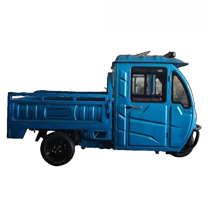 Hot Selling 1000W Electric Cargo Tricycle Open-Body Three-Wheel Truck for Adults 60v Motorized Passenger Vehicle