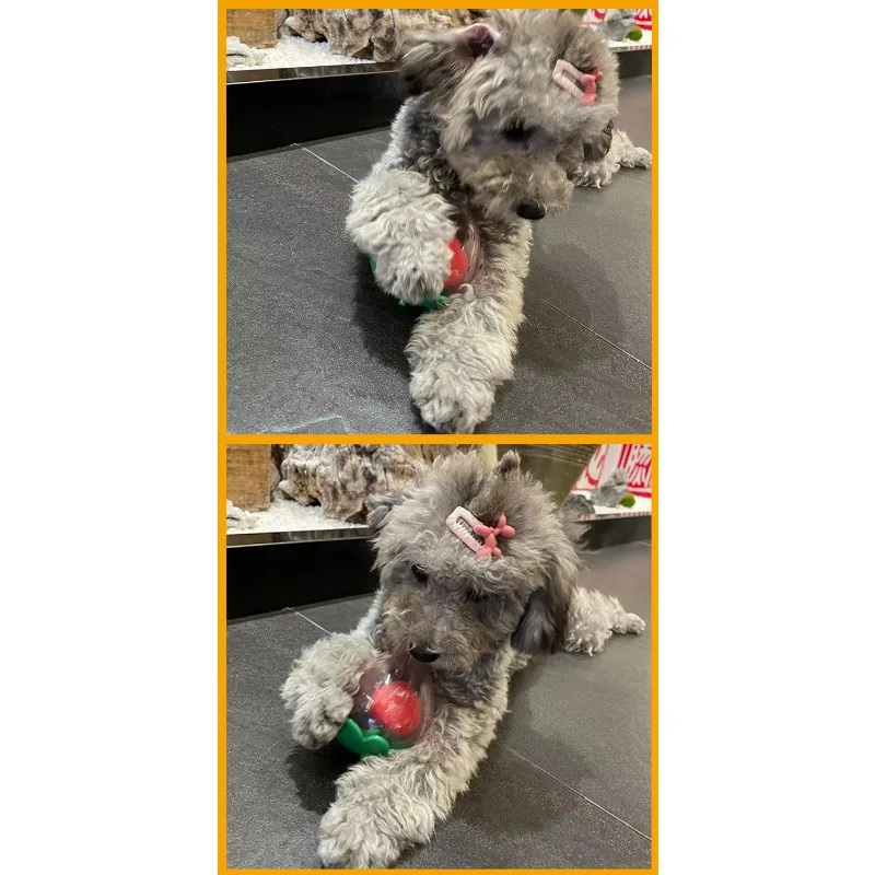 Vocal bite-resistant pet dog toy teddy bear small and medium molars to accompany pet products strawberry