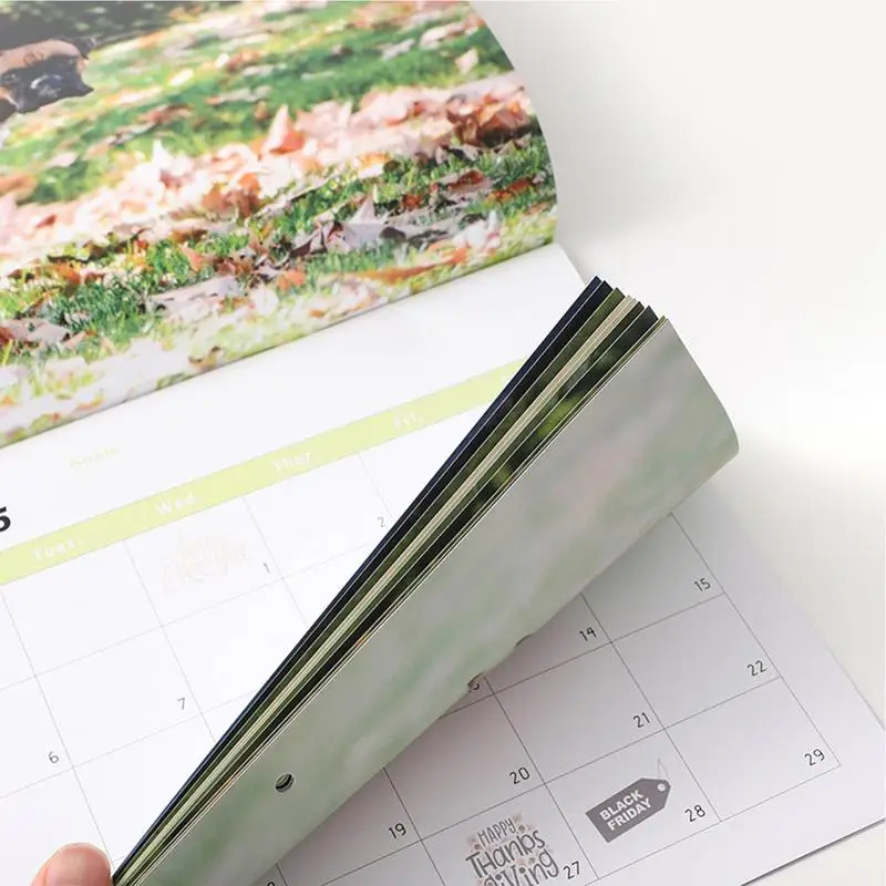 ユニークなうんち犬のカレンダー、家族プランナー、いたずらカレンダー、ペット愛好家、面白いアート、8.27x11.22インチ、2025