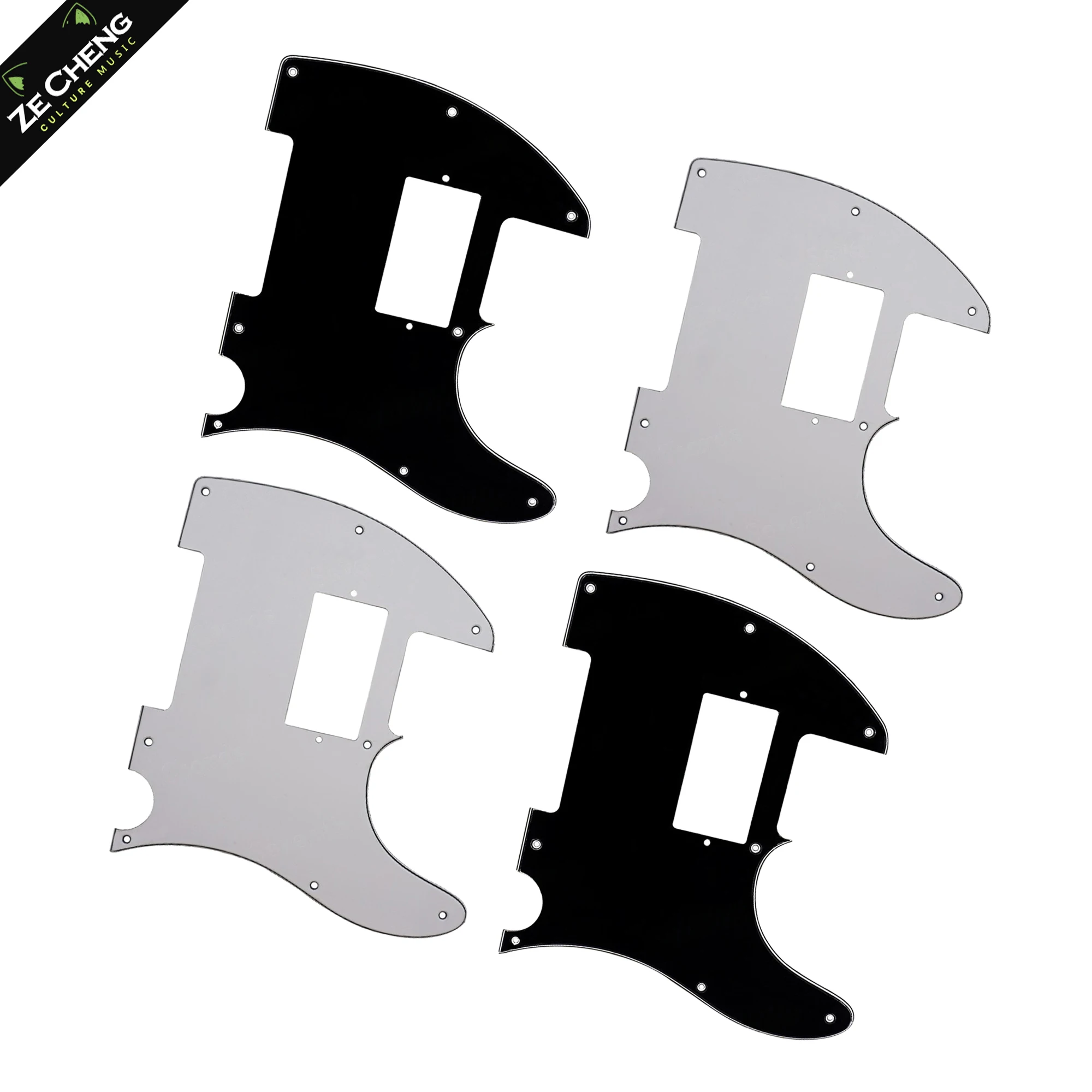 Professional Musica…