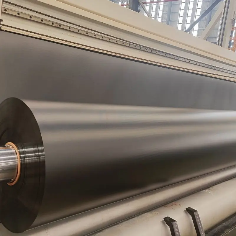 HDPE Geomembrane Waterproof Liner Customized Roll Size for Dam Canal Pond Landfill and Mining Engineering Projects