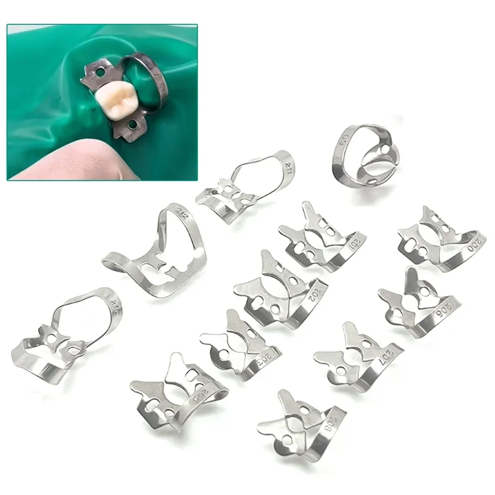 Stainless Steel Rubber Dam Clamp Size 50, Dental Clamps for Endodontics Restoration Orthodontics, Dental Materials Tools