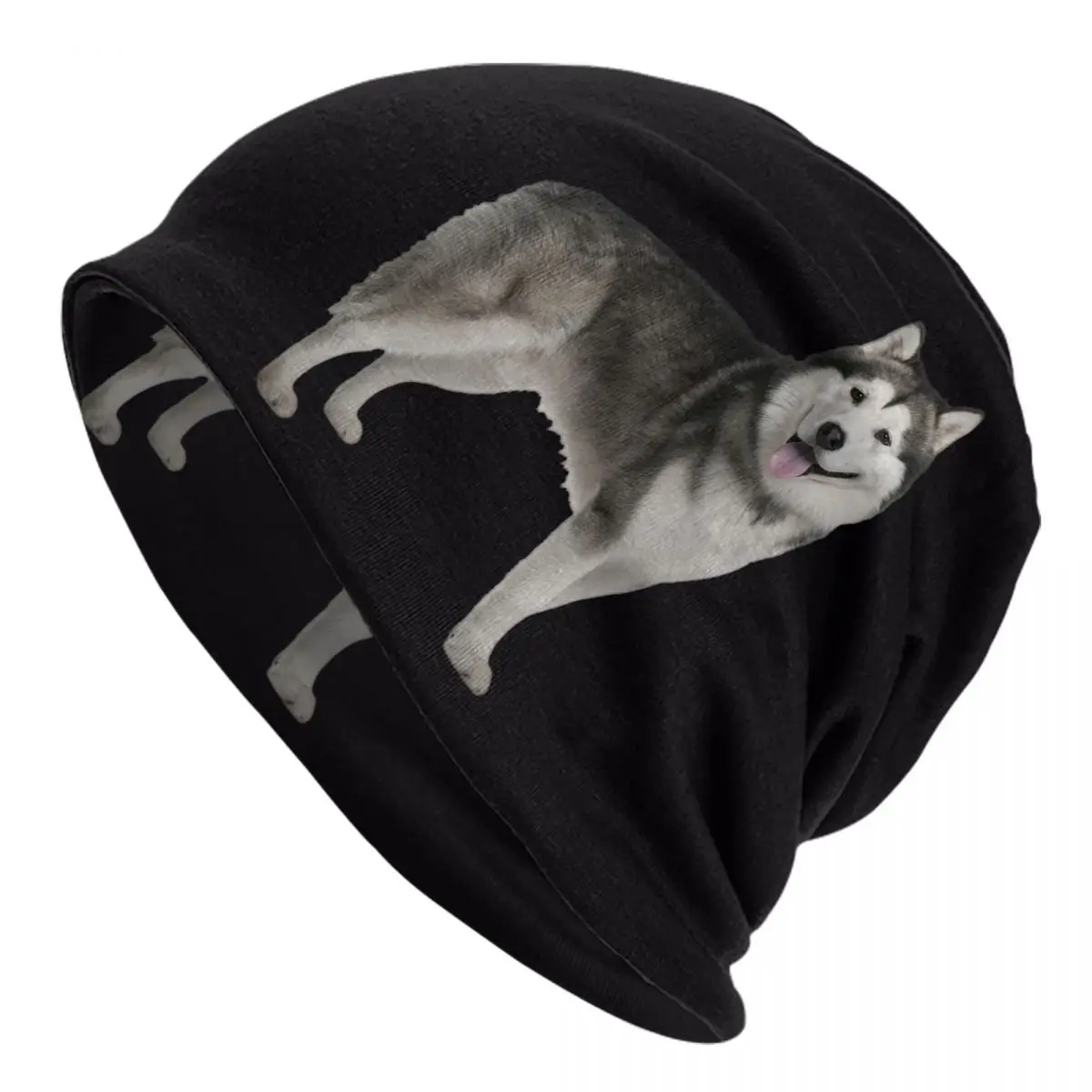 Siberian Husky Beanie Cap Unisex Winter Bonnet Homme Knitted Hats Street Outdoor Ski Alaskan Malamute Dog Skullies Beanies Hats