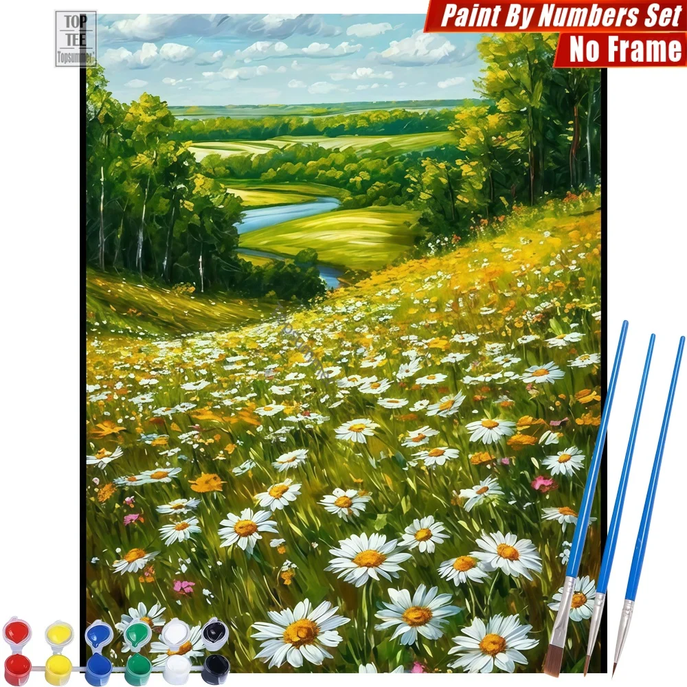 Kit de pintura por números DIY de paisaje de campos de margaritas - Decoración fresca y serena para el hogar y el dormitorio, regalo del Día del Padre para papá