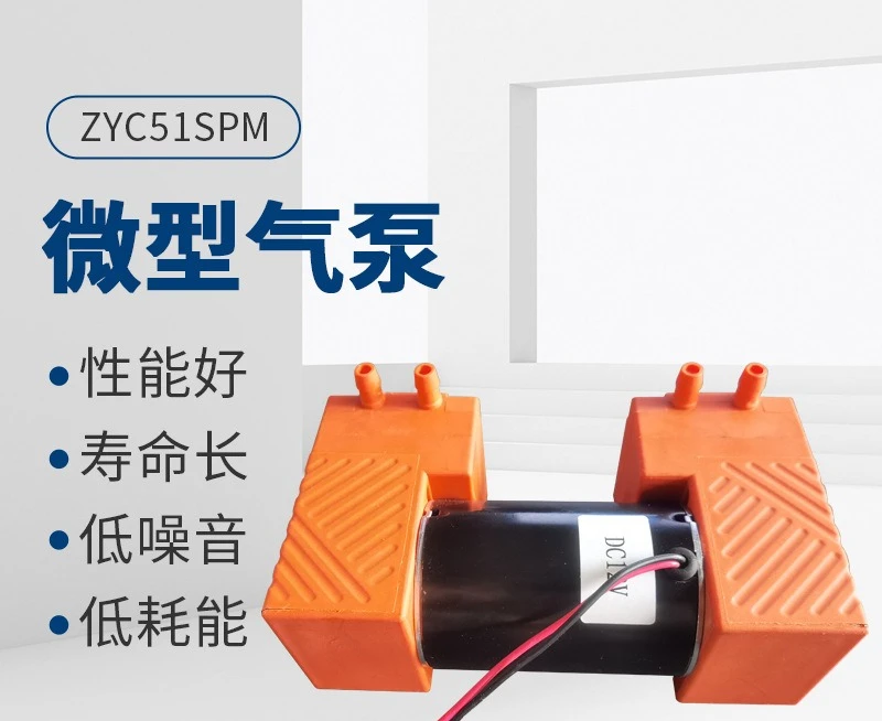 Miniature Air Pump DC 12V24V AC 110V220V Equipment Double Head Pump Diaphragm Vacuum Pump