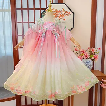 Vestido chino de manga larga para niños, Hanfu, vestidos bordados para niñas encantadoras, estilo folclórico tradicional, Disfraces para actuaciones de baile, Cosplay