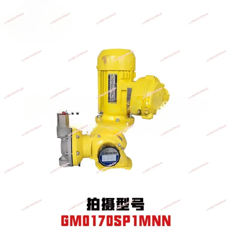 GM0170SP1MNN  440V 50HZ, stainless steel pump head, 0.25KW ordinary motor