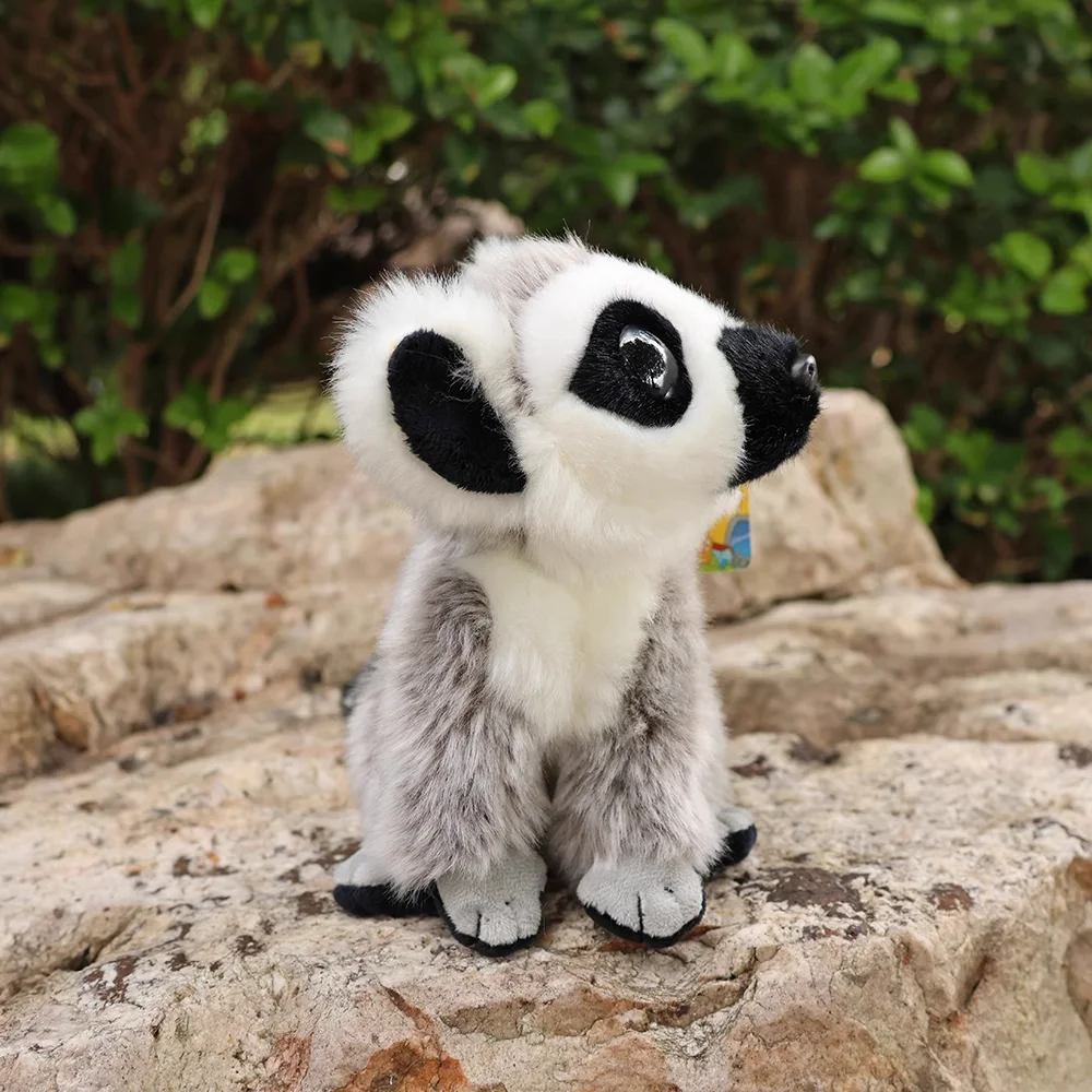 18CM Cute Little Lemur giocattoli di peluche Vita reale Lemur con coda ad anello Regali di peluche per bambini Regali di Natale per bambini