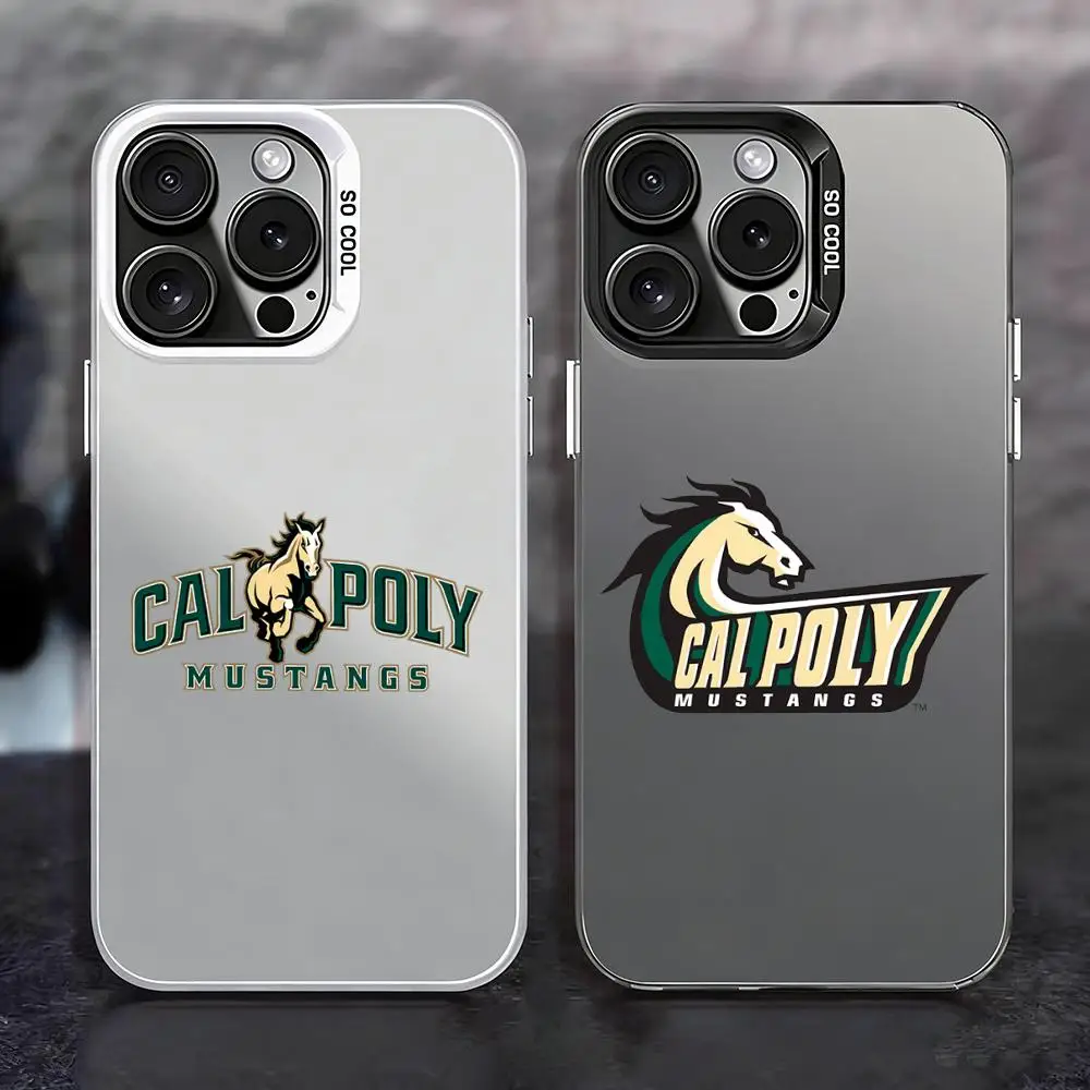 Phone Case Color Silver Case for iPhone 17 16 16e 15 14 13 12 11 Pro Max Plus Matte Shockproof Cover C-Cal Poly MustangsS