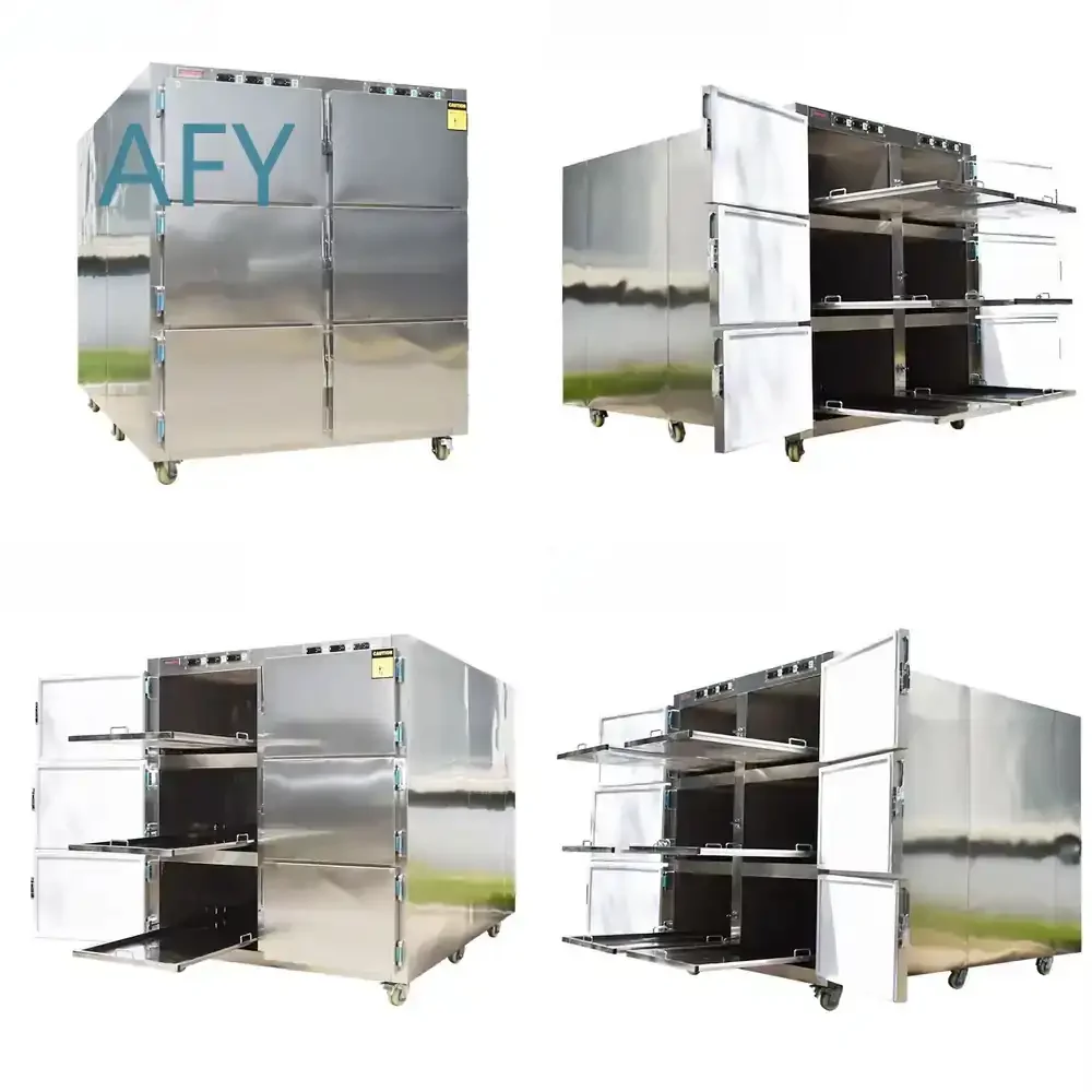 Sysmedpalace Rooms 1-9 Corpse Storage Morgue Freezer 6 for morgue freezer for mortuary equipment for body storage freezer for