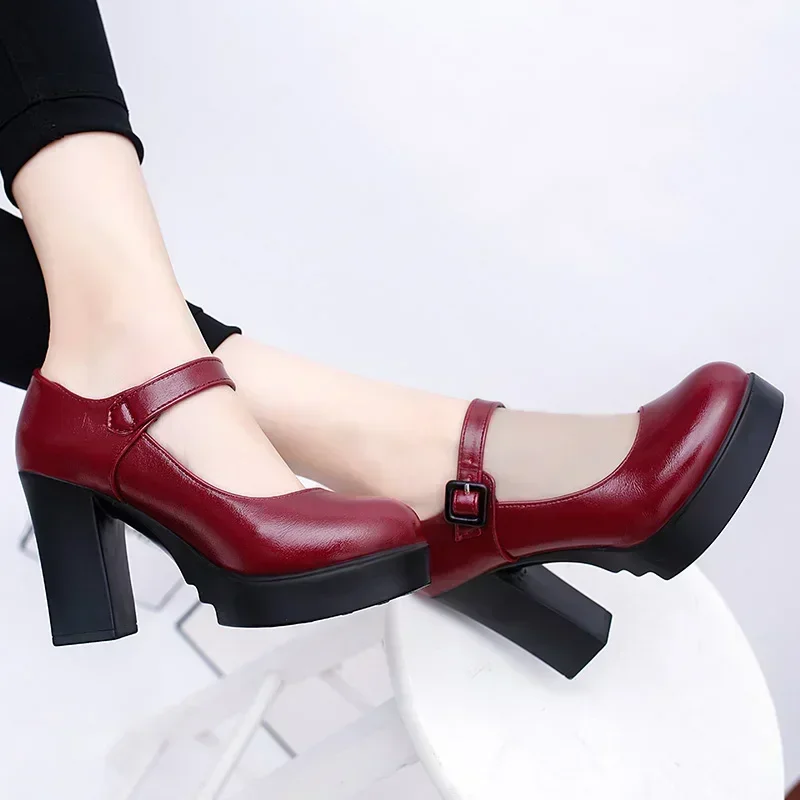 2024 Shoes for Women Slingbacks Women\'s Pumps New Autumn Round Toe Buckle Shallow Solid Dress Office Chunky Heels Fashion Shoes