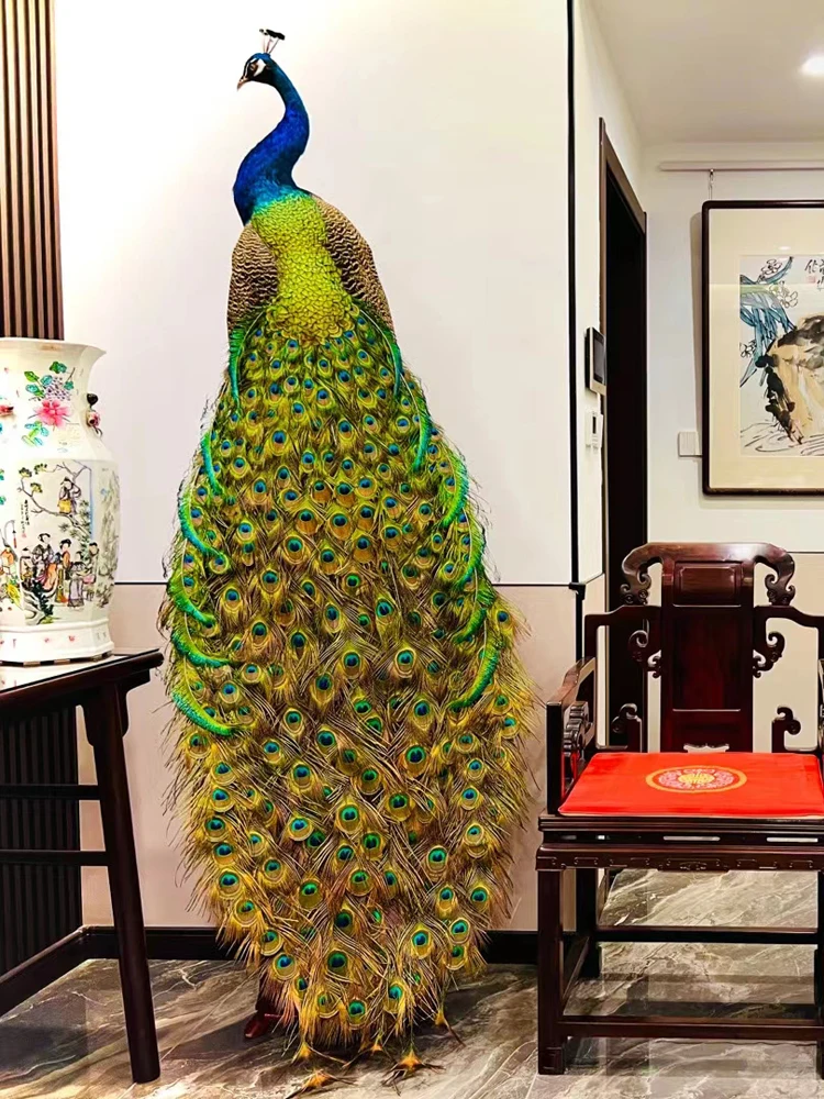 Peacock specimen ornaments, living room, hotel decoration, home handicrafts, real feathers, landing boutique prop models