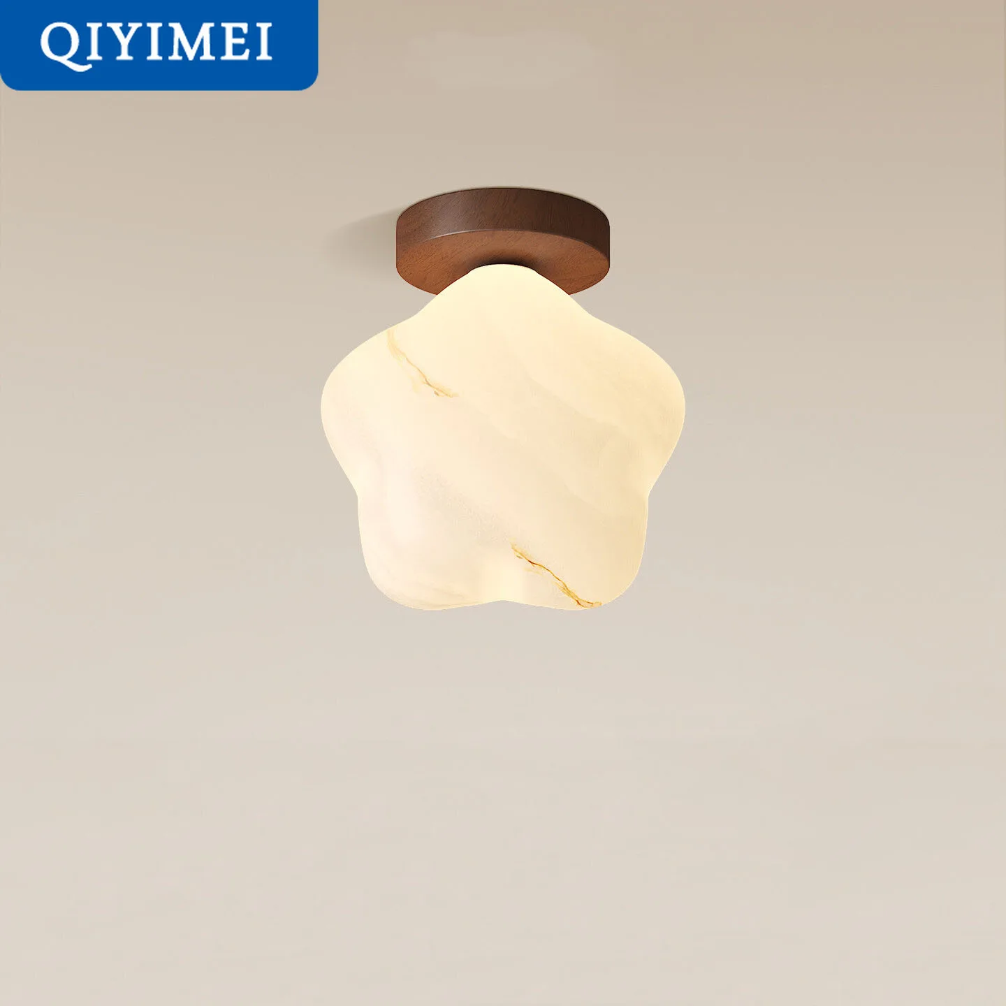 Modern Star Ceiling Light LED Indoor Lighting For Corridor Hallway Surface Mounted Acrylic Dimmable Lamp Lustres HOME Decor