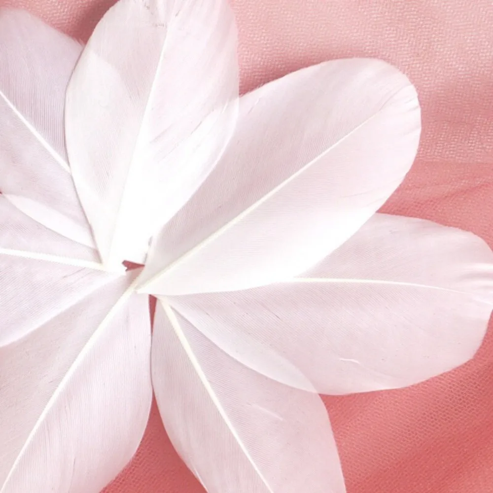 الجملة الملونة أوزة الريش السائبة 5-8 سنتيمتر ريشة صغيرة الطبيعية للحرف اليدوية DIY بها بنفسك صنع المجوهرات حلم الماسك قلادة بلوم ديكور #5