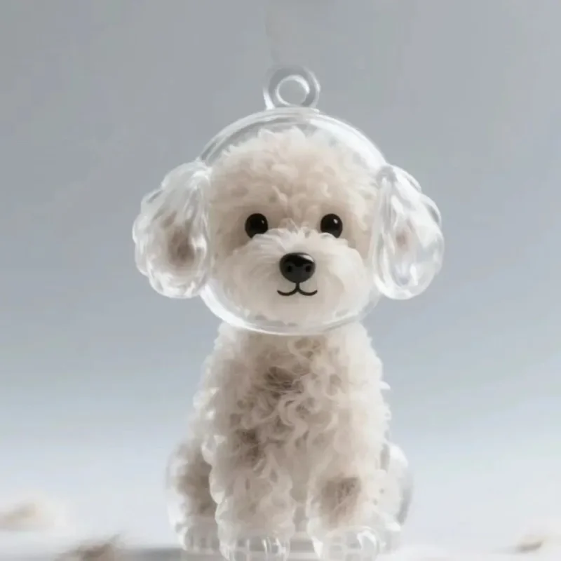 Conteneur Transparent de stockage de poils de chien, Adorable pendentif de Capsule de souvenir d'animal de compagnie avec porte-clés pour les amoureux des animaux de compagnie, porte-clés commémoratif DIY